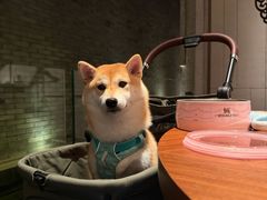 -晶采轩(虹桥路店)