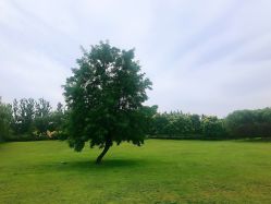 -大望京儿童游乐场