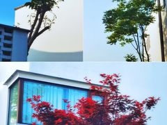 -东梓关景区村庄