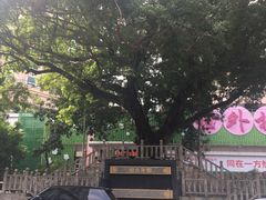 -水围村