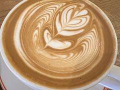 -Elephant Grounds(STARSTREET)