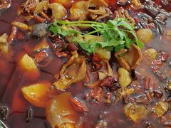 -晓彭肥肠鸡·泡椒鸡火锅(水木天地店)