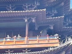 -杭州半山国家森林公园