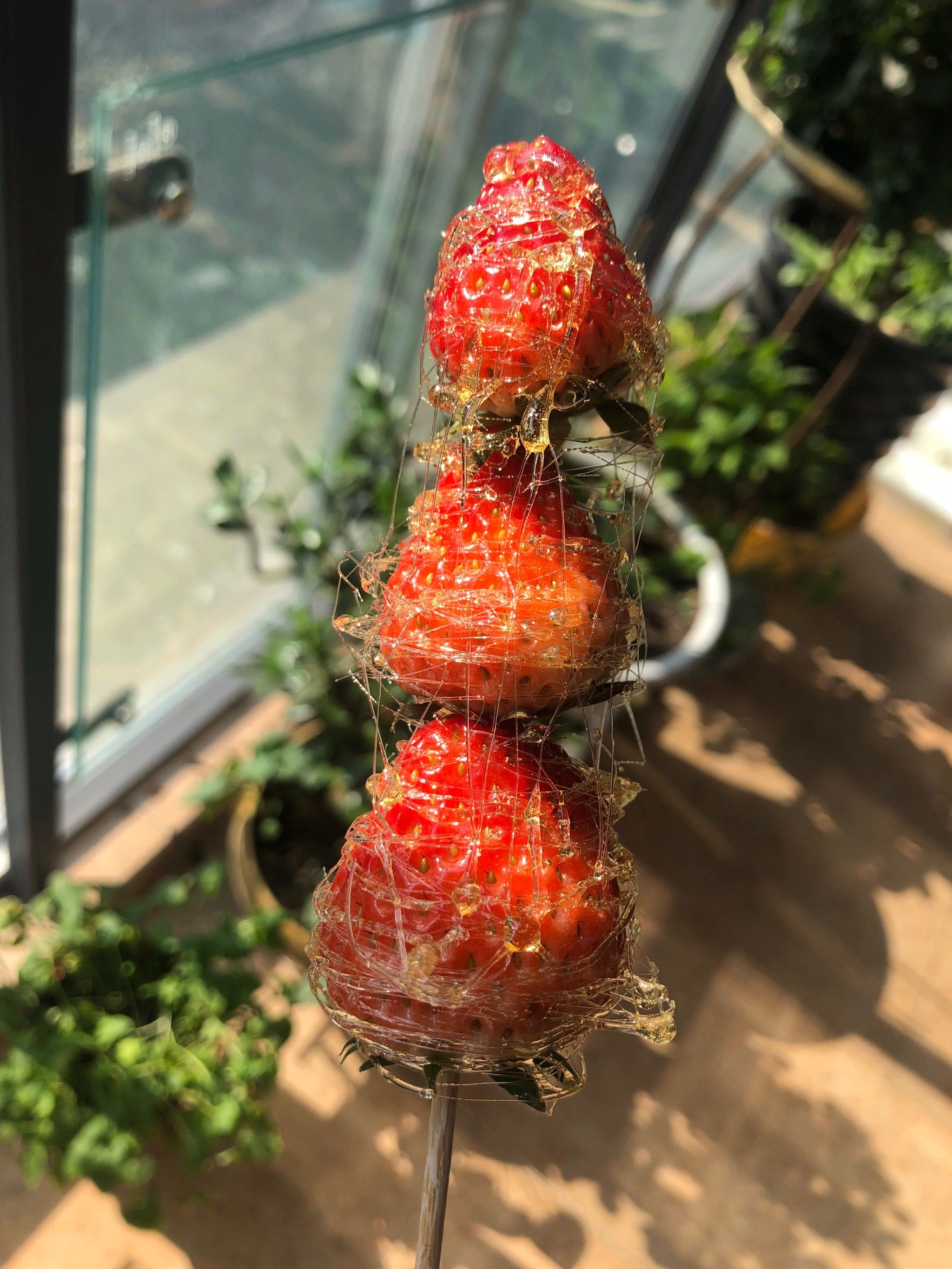 自制拔丝冰糖葫芦[调皮]