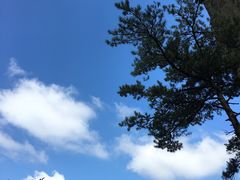 -丹东凤凰山景区
