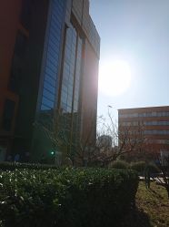 -首都儿科研究所附属儿童医院