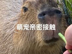 -郑州银基黄帝宫御温泉