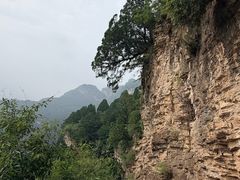 -北京上方山国家森林公园