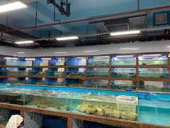 水产区-渔人湾码头海鲜市场负二楼