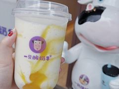 芒来芒趣-一只酸奶牛(八一路店)