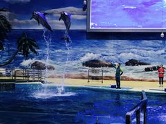 -福州罗源湾海洋世界旅游区