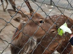-长白岛森林公园