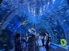 -海合安成都极地海洋公园