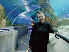 -大连圣亚海洋世界