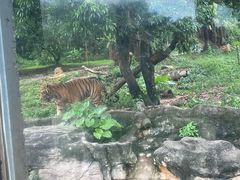 -深圳野生动物园