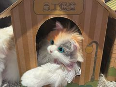 -酷乐潮玩(五道口购物中心店)