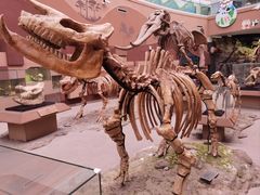 -陕西自然博物馆