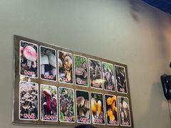 -杨记山珍鸡煲菌汤锅