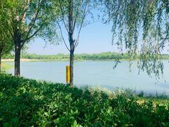 -东郊湿地公园