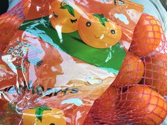 拉斯维加斯永利酒店-拉斯维加斯永利酒店