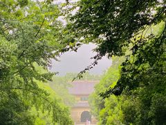 -灵谷景区