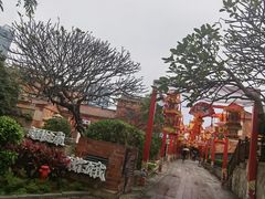 -晋江五店市传统文化旅游区