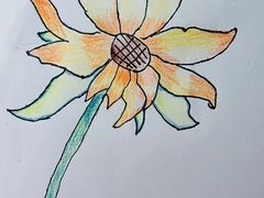 -e城e家家政(怀柔店)