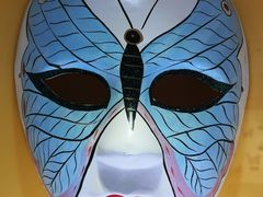 -上海昆虫博物馆