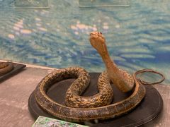 -下渚湖国家湿地公园科普馆