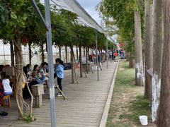 -前小桔亲子创意农场·草莓采摘·露营烧烤