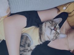 -瑞派名望24h动物医院异宠专科·猫专科·骨科·重症监护分院