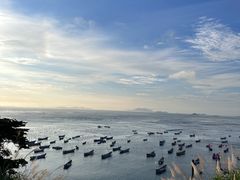 -枸杞岛