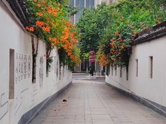 -运河游船(武林门码头)