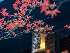 -湖滨客舍·湖北菜
