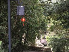 -罗浮山-南楼寺