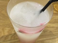 -柴务处·柴犬主题狗咖