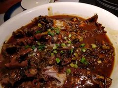 -松沪名灶·豆浆鱼头·新上海菜(飞航吾悦广场店)