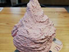 -野人先生现做冰淇淋(北京环宇荟店)