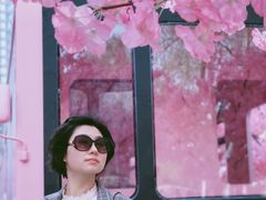 -金茂览秀城