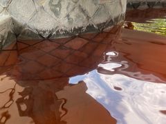 -碧水湾温泉