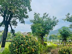 -凤翔首邑温泉度假村