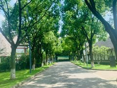 -太阳岛度假酒店