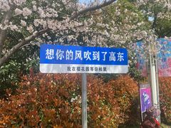 -高东镇樱花园