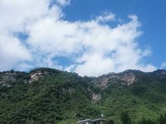 -金塔沙漠胡杨林景区