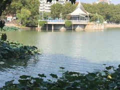-甘棠公园