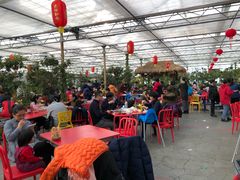 餐饮设施-南宫五洲植物乐园