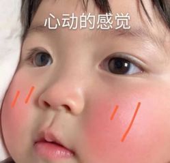 点击看大图 -艺灵斋胎毛笔(上海路店)