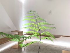 -光作面包Voila Lumiere(中山店)