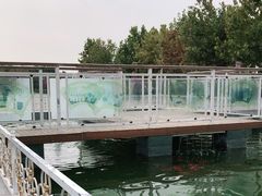 -藁城北服务区-停车场