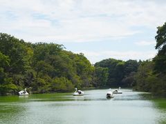 -井之头恩赐公园